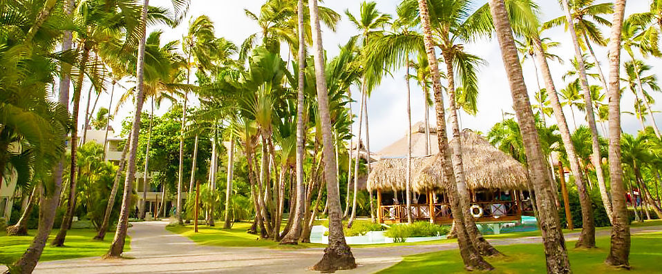 Impressive Premium Resort & Spa ★★★★★ - A Premium experience on Punta Cana’s El Cortecito beach. - Punta Cana, Dominican Republic