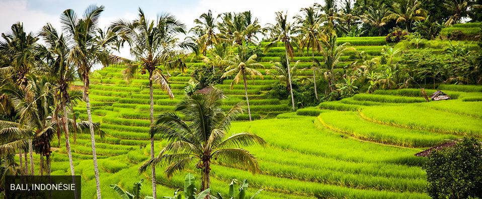 Plataran Canggu Bali Resort and Spa - Luxueux jardin d’Eden à Bali. - Bali, Indonésie