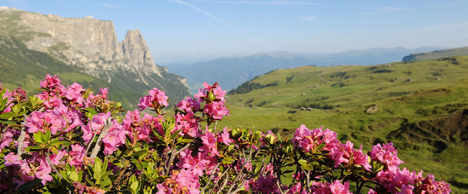 Paula Wiesinger Apartments & Suites ★★★★ - Stylish and modern comfort in the heart of the stunning Dolomites. - South Tyrol, Italy