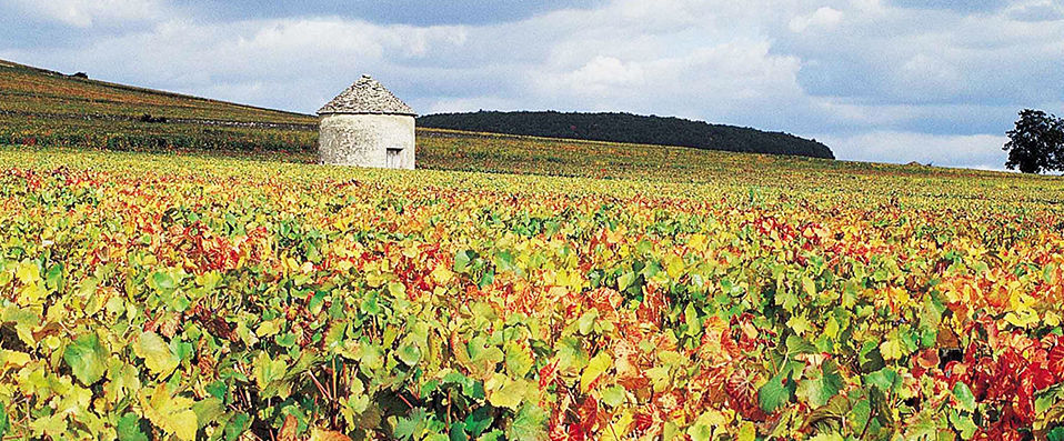 Novotel Beaune ★★★★ - Dernière minute - Escapade au cœur de la capitale des vins de Bourgogne. - Beaune, France