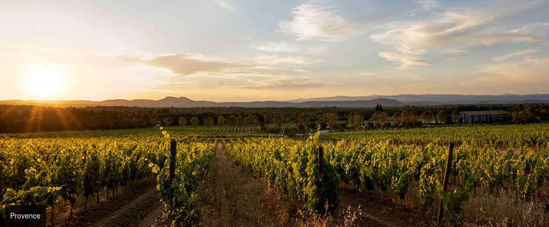 Ultimate Provence ★★★★ - Expérience provençale inédite dans un domaine viticole design. - Var, France