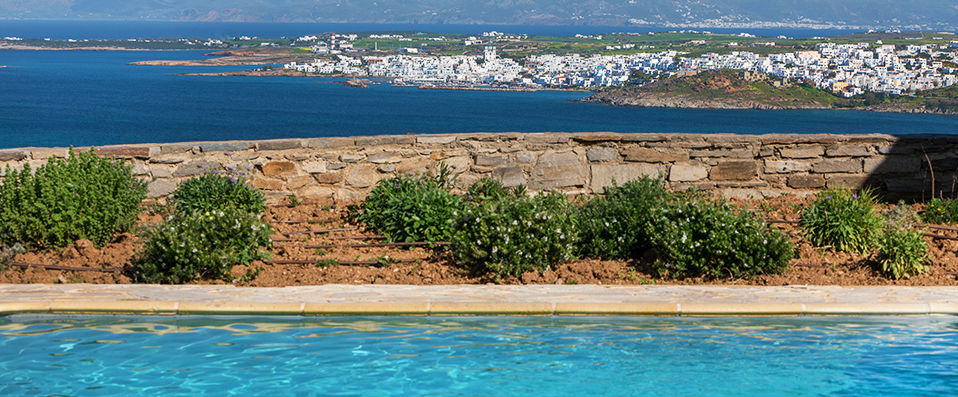 Acron Villas Paros - Experience island life in a Grecian villa with a private pool - Paros, Greece