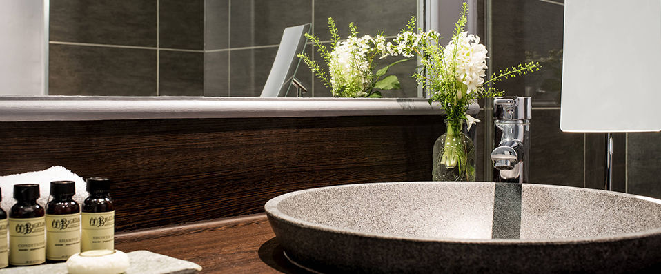 Pullman Toulouse Airport ★★★★ - Last Minute - Elegance and style next to Toulouse’s airport. - Toulouse, France