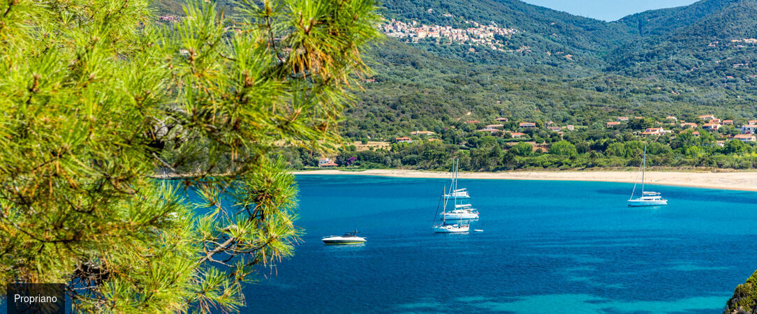 Hôtel Bartaccia ★★★★ - Une adresse de caractère sur le golfe de Valinco. - Corse, France