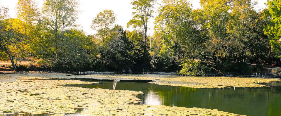 Demeure de Campagne Parc du Coudray ★★★★ - Relax and recharge amongst nature, less than an hour from Paris. - Le Coudray-Montceaux, France