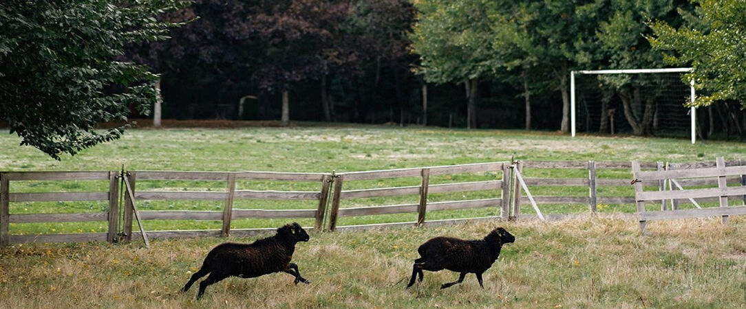 Demeures de Campagne - Parc du Coudray ★★★★ - Belle demeure de campagne à moins d’une heure de Paris. - Essonne, France