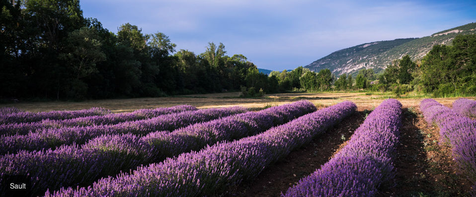 La Bastide des Bourguets - Wonderfully tranquil stay surrounded by lavender fields and mountains. - Provence, France