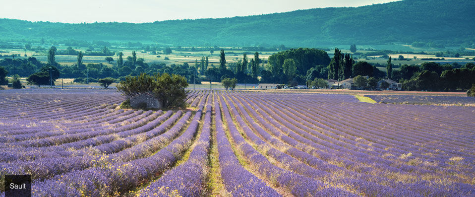 La Bastide des Bourguets - Faites le plein d’énergie au cœur de la nature provençale. - Vaucluse, France