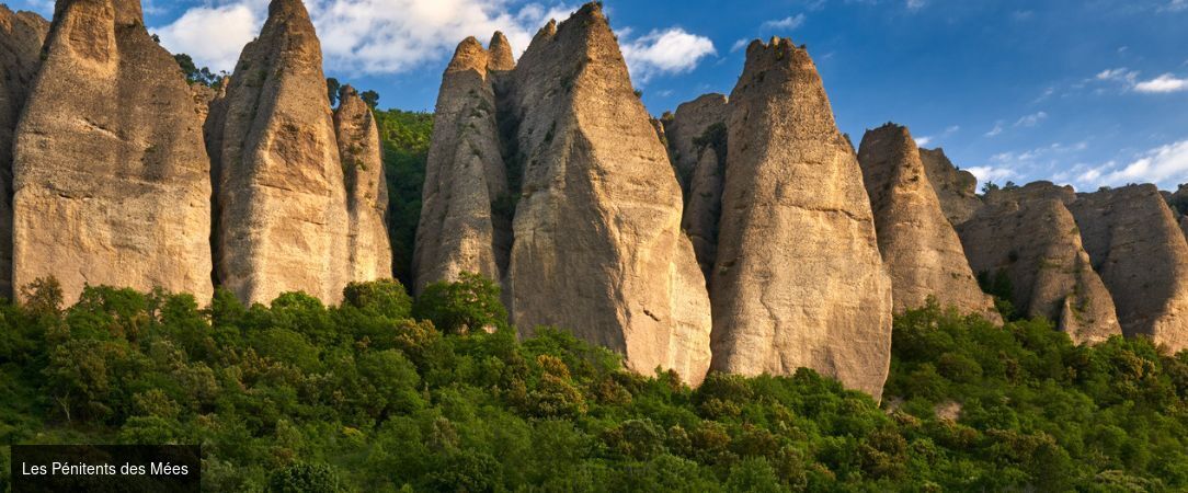 Le Refuge des Sources - Nature, calme et repos dans les Alpes de Haute-Provence, pour vivre des moments précieux été comme hiver. - Alpes-de-Haute-Provence, France