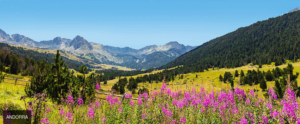 Pierre & Vacances Pas de la Casa Princesa - A haven of peace and relaxation amongst the sky-scraping peaks of Andorra. - Andorra