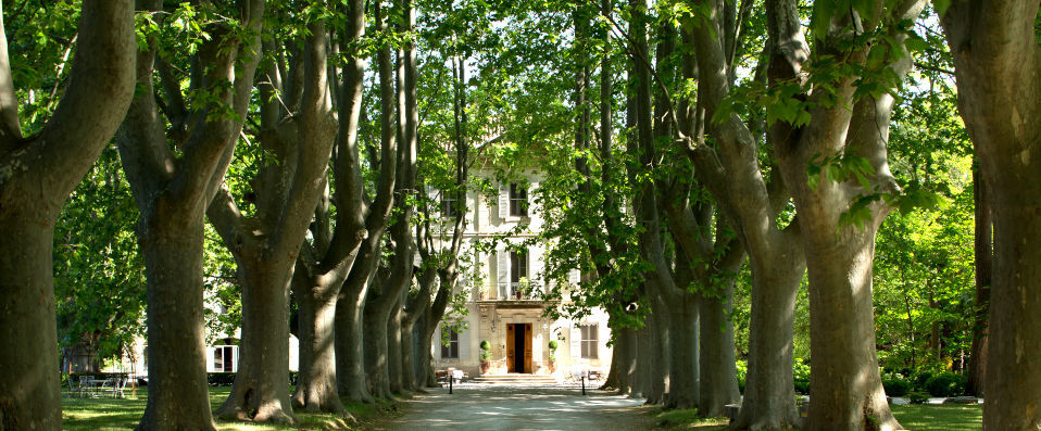 Le Château des Alpilles ★★★★★ - A manor house brimming with old-world charm in a luscious green utopia. - Provence, France