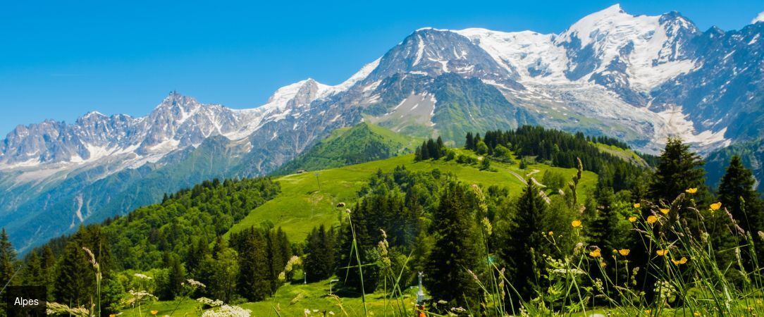 Alpin D'Hôme Hôtel & Spa - Escapade insolite avec spa : dormez dans un dôme sur pilotis en pleine montagne. - Hautes-Alpes, France