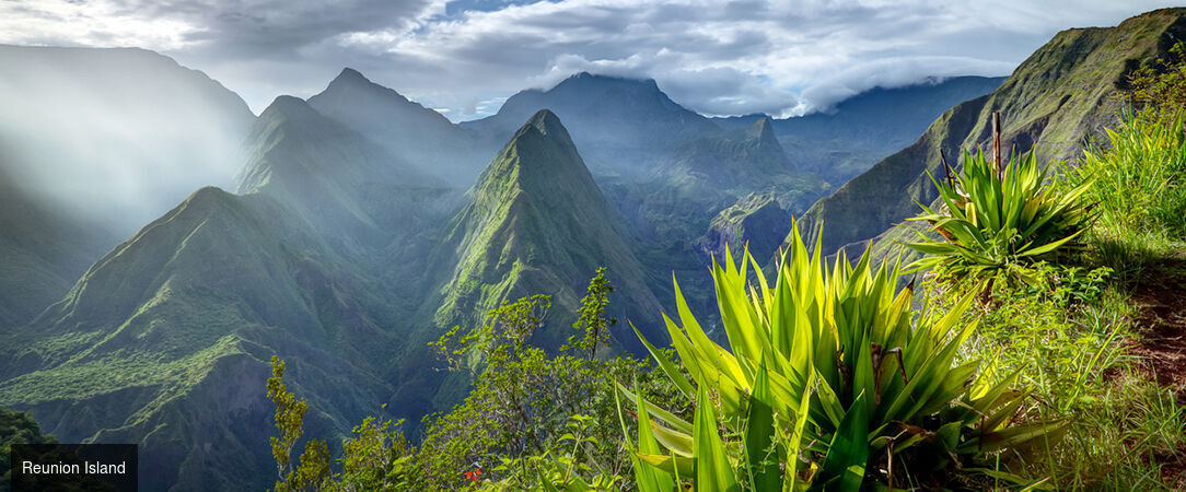 Ness by D-Ocean ★★★★ - A luxurious oasis on Réunion Island. - La Réunion island
