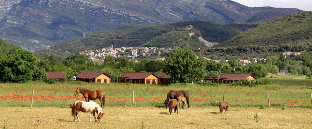 Wecamp Pirineos - Glamping en famille dans un coin de nature paisible. - Région d'Aragon, Espagne