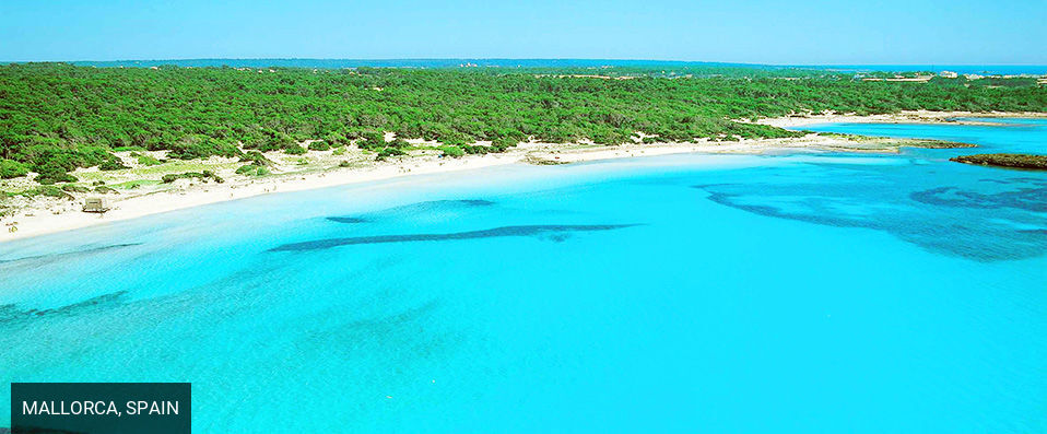 Hotel Seasun Far ★★★★ - The perfect rest on the isle of Mallorca. - Mallorca, Spain