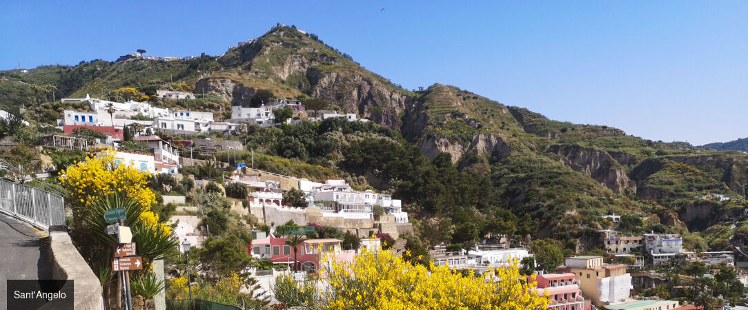 Apollon Club ★★★★ - Nature, douceur et bien-être sur les hauteurs de Sant'Angelo. - Ischia, Italy