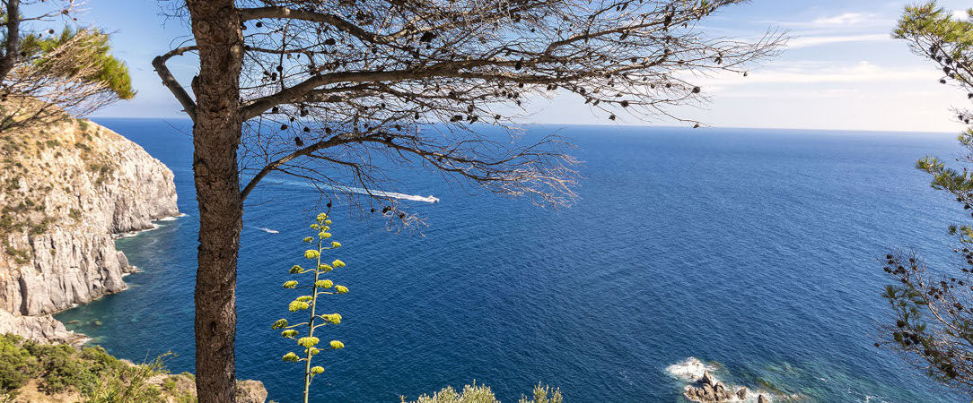 Hotel Grazia alla Scannella ★★★★ - Nature, tradition and luxury on the beautiful island of Ischia. - Ischia, Italy