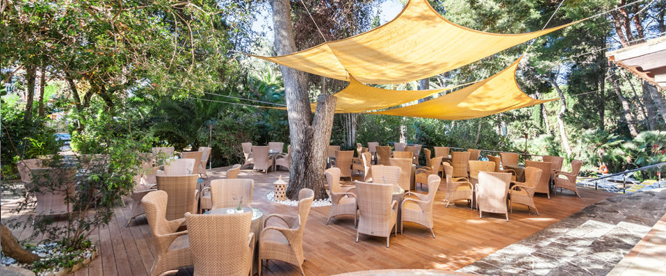 Lago Garden Hotel & Spa ★★★★★ - In the shade of the palms, enjoy a taste of the Mediterranean life. - Mallorca, Spain