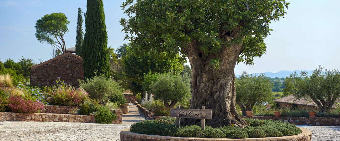 Château Saint-Roux - Se perdre dans les vignobles en séjournant dans un château provençal. - Var, France