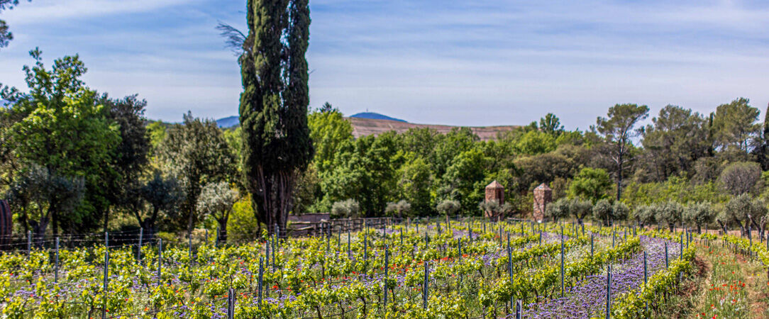 Château Saint-Roux - Se perdre dans les vignobles en séjournant dans un château provençal. - Var, France