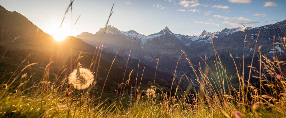 Eiger Selfness Hotel ★★★★ - A relaxing nature retreat in Grindelwald. - Grindelwald, Switzerland