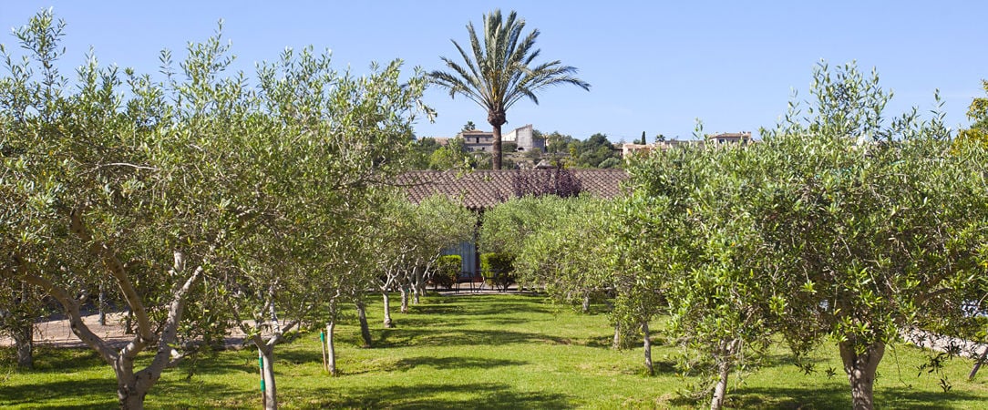 Son Caulelles ★★★★ - Adults Only - Un havre de paix étoilé sur l’île de Majorque. - Majorque, Espagne