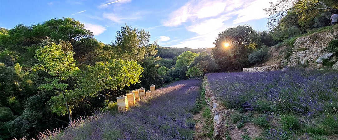 Lou Calen - Entre nature & expériences sensorielles dans un hôtel écoresponsable de Provence. - Provence, France