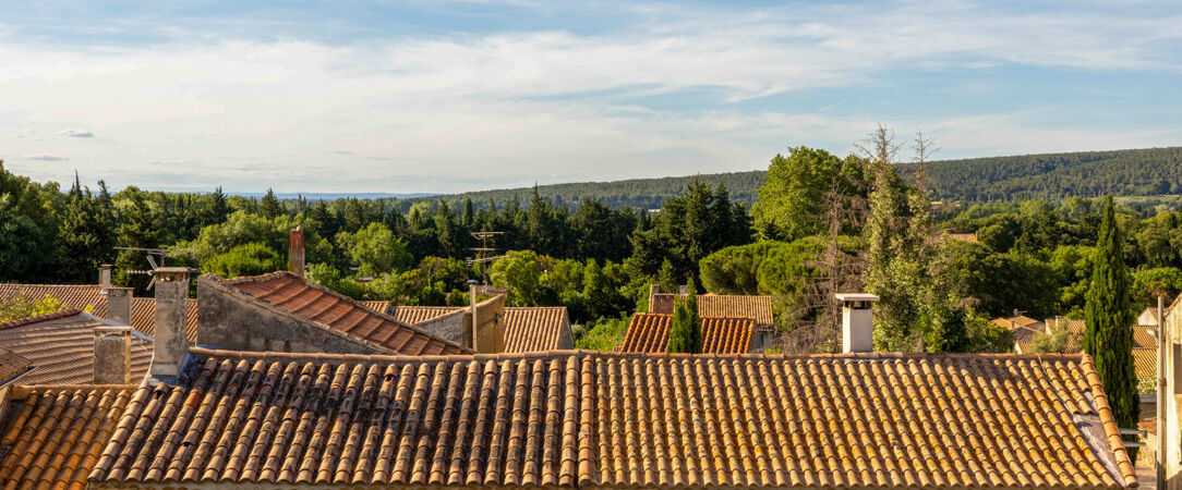 La Regalido – Demeure de Provence ★★★★ - Pied-à-terre de charme au cœur des Alpilles. - Provence, France