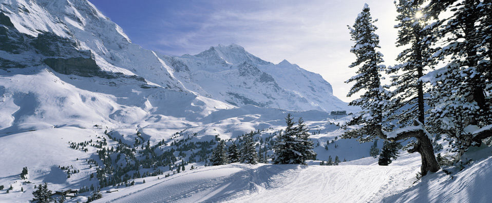 Romantik Hotel Schweizerhof ★★★★★ - Dernière minute -  - Canton de Berne, Suisse