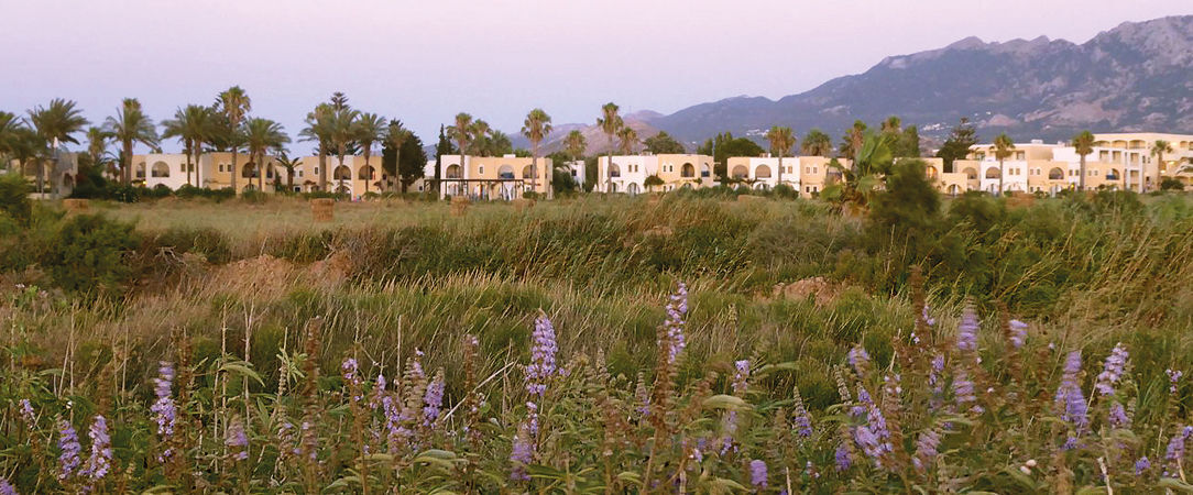 Grecotel Casa Paradiso ★★★★ - Un All Inclusive chic faisant le bonheur des petits et des grands. - Kos, Grèce