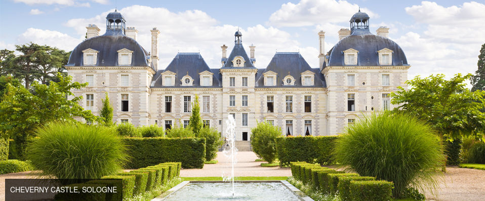 Demeure de Campagne Chemin de Sologne - A calming retreat immersed in the beauty of The Loire Valley. - Orléans, France