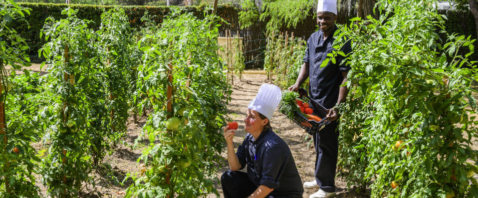 Demeure de Campagne Chemin de Sologne - A calming retreat immersed in the beauty of The Loire Valley. - Orléans, France