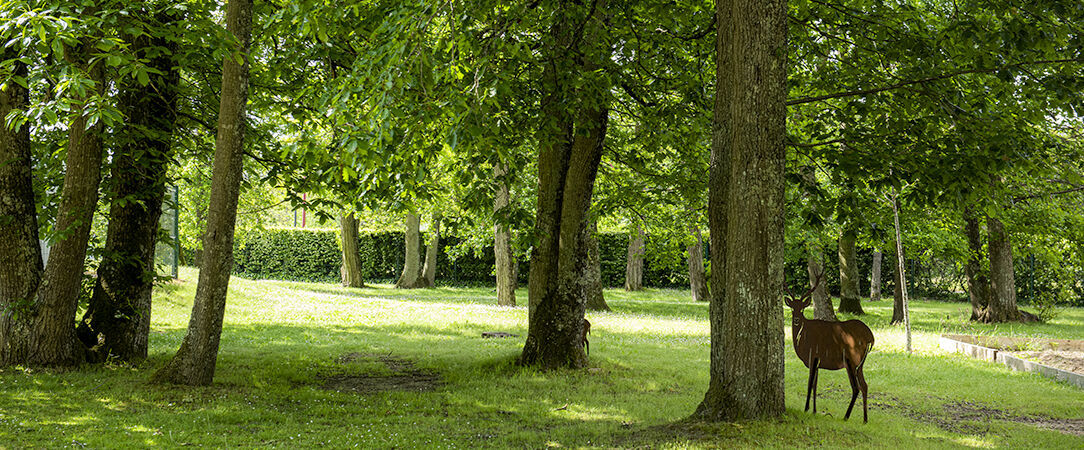 Demeures de campagne Chemins de Sologne - Dernière minute - Reconnexion avec vos sens au cœur de la nature orléanaise ! - Orléans, France