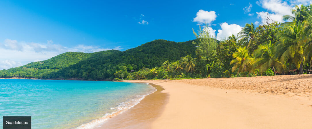 Kawan Bay Suites ★★★★ - Succombez aux charmes des Caraïbes. - Guadeloupe