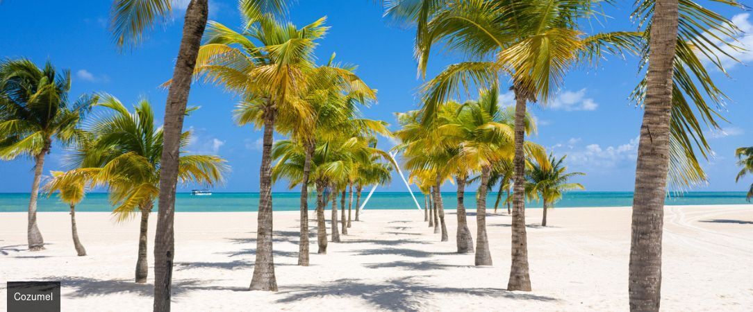 The Fives Oceanfront ★★★★★ - Escapade All Inclusive 5 étoiles à Puerto Morelos, face à la mer des Caraïbes sur la Riviera Maya. - Riviera Maya, Mexique