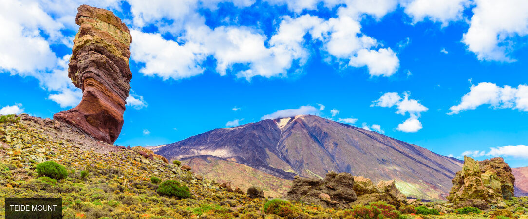 Meliá Jardines del Teide ★★★★★ - Relâchez-vous & déconnectez sur l’île au printemps éternel. - Tenerife, Spain