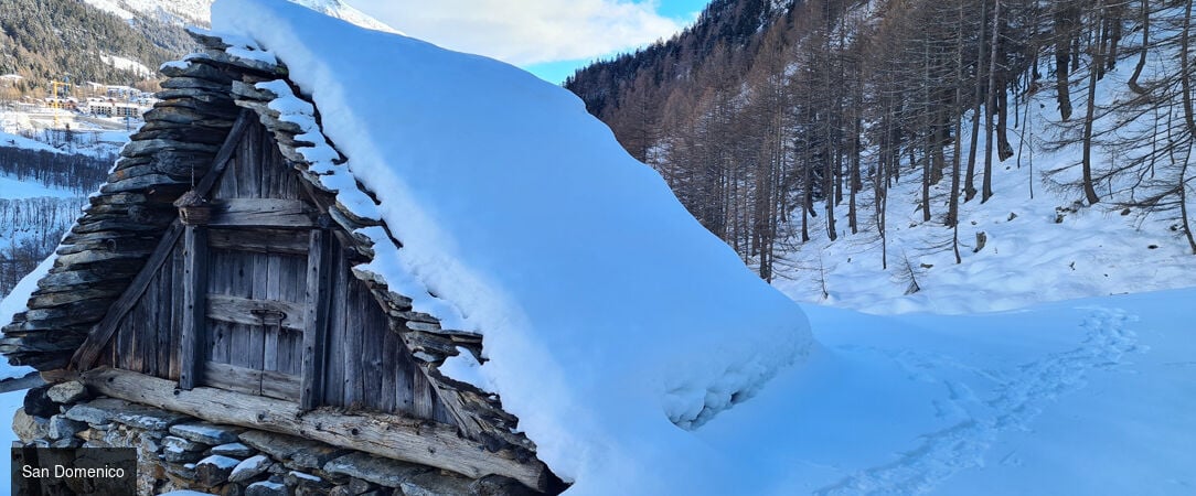 Hotel La Vetta San Domenico ★★★★ - Find you inner peace at this Italian gem nestled in the Alps. - Piedmont, Italy