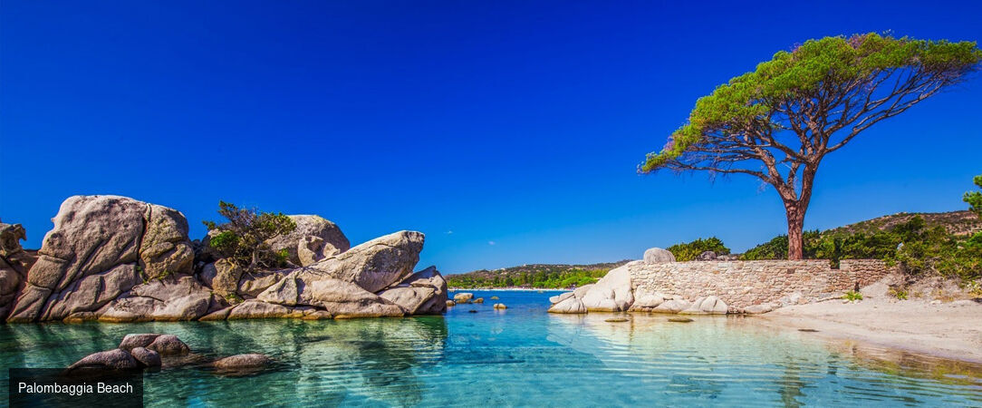 Les Lofts de Palombaggia - A quaint and comfortable stay close to France’s most beautiful beach. - Porto-Vecchio, France