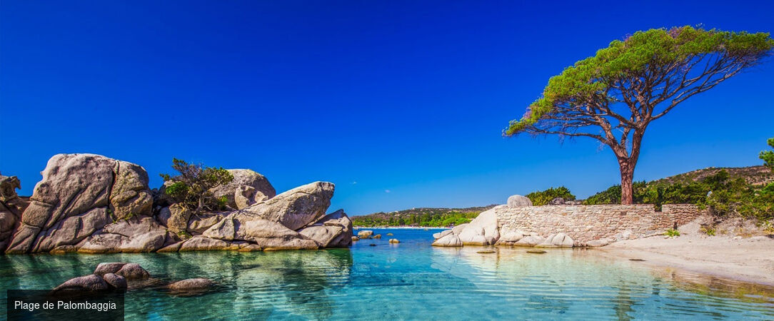 Les Lofts de Palombaggia - Le bonheur d’une villa avec piscine privée dans un cadre naturel paradisiaque. - Porto-Vecchio, France
