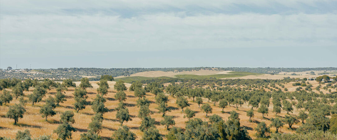 Sleep & Nature Hotel ★★★★ - A true life changing experience deep within the unspoilt Portuguese countryside. - Évora, Portugal