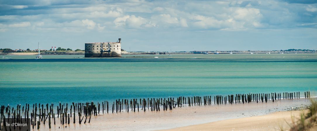 Le Homard Bleu - Un cadre chaleureux face à l’Atlantique. - Île d'Oléron, France