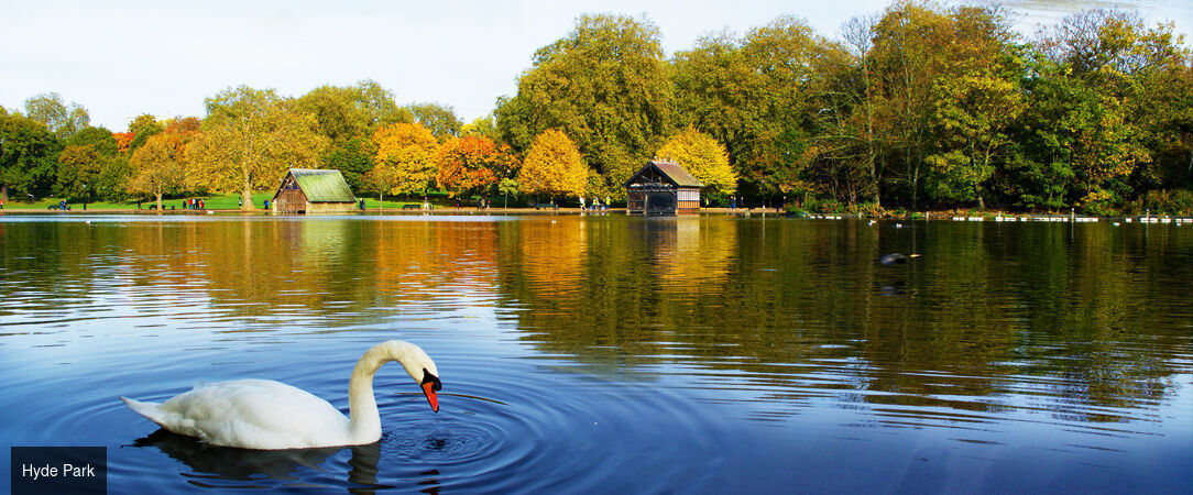 DoubleTree by Hilton London Hyde Park ★★★★ - Serene & comfortable stay in the vibrant heart of London. - London, United Kingdom