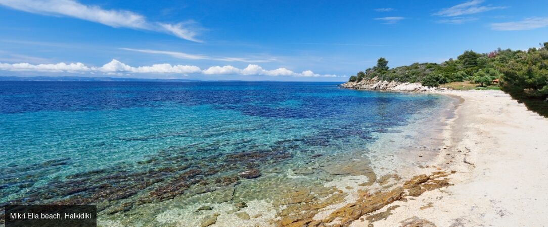 Acrotel Elea Beach ★★★★ - L’hôtel idéal pour profiter du calme au cœur de la Grèce. - Halkidiki, Greece