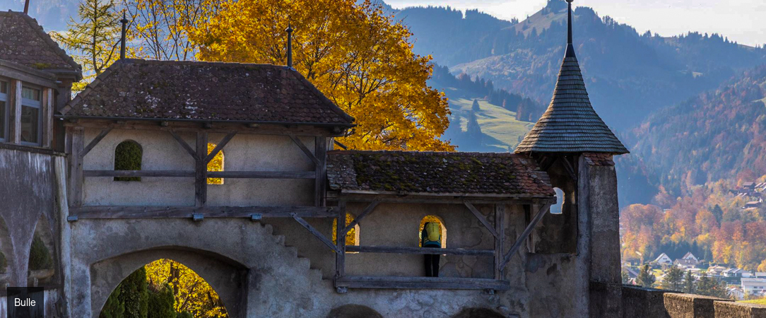 Hôtel D Bulle ★★★★ - La Suisse, entre nature et culture. - Canton de Fribourg, Suisse