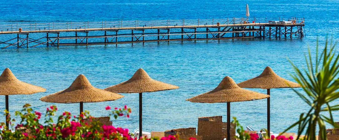 Concorde Moreen Beach Resort ★★★★★ - A magnificent water world paradise with luxury at every corner. - Marsa Alam, Egypt