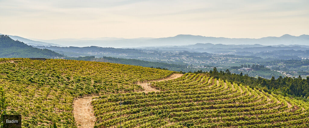 The Vinea Collection Hotel by Piamonte Hotels ★★★★★ - Un refuge contemporain au nord du Portugal, entre histoire viticole et montagnes. - Melgaço, Portugal