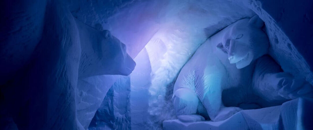 Village Igloo Les Arcs - Sleep under the stars in an igloo surrounded by snow-capped mountains. - Les Arcs, France