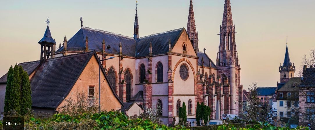 Hôtel La Diligence ★★★★ - Escapade alsacienne de charme entre châteaux & route des vins d’Alsace. - Obernai, France