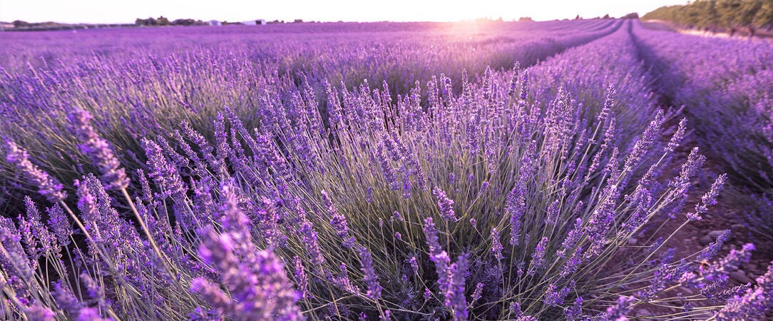 Villa Castellane - XXX - Gréoux-les-Bains, France