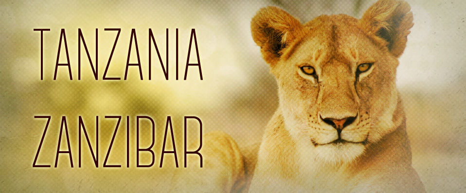 Tanzania & Zanzibar Combo ★★★★★ - See the best of Africa with 4 days of Tanzanian safari and 4 days on the beach in Zanzibar - Tanzania & Zanzibar